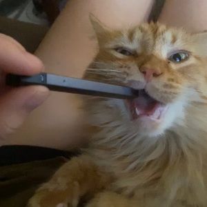 Meet your Posher, Kaylee